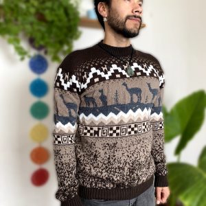 Sweater De Lana Marrón